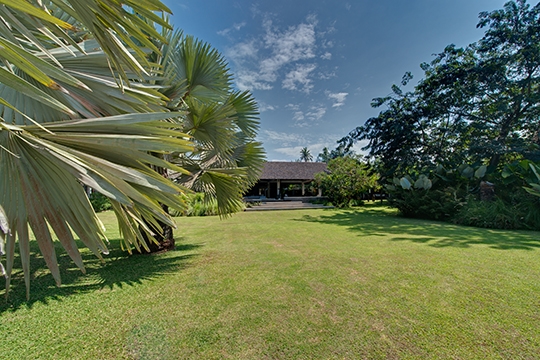 Madagascan palm view of villa